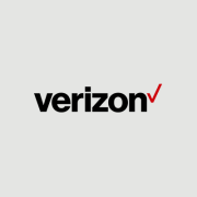 Verizon Virtual Network Services (VSN) Logo